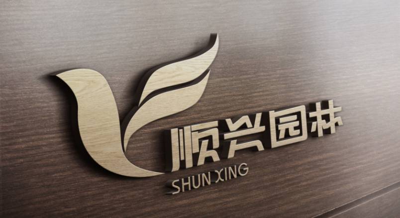 宁波VI设计公司：城市视觉形象的专业筑梦者